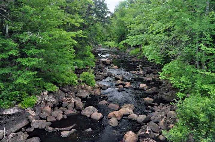 stream
